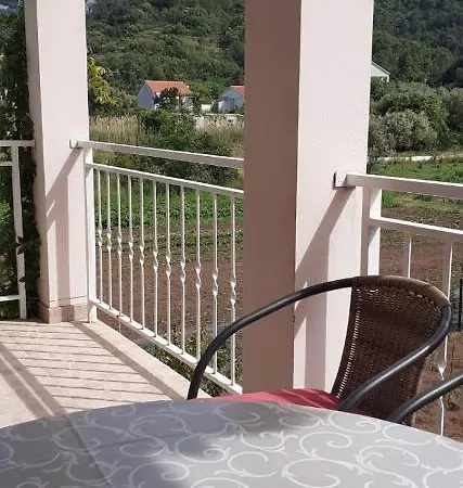 Darija Žuljana
